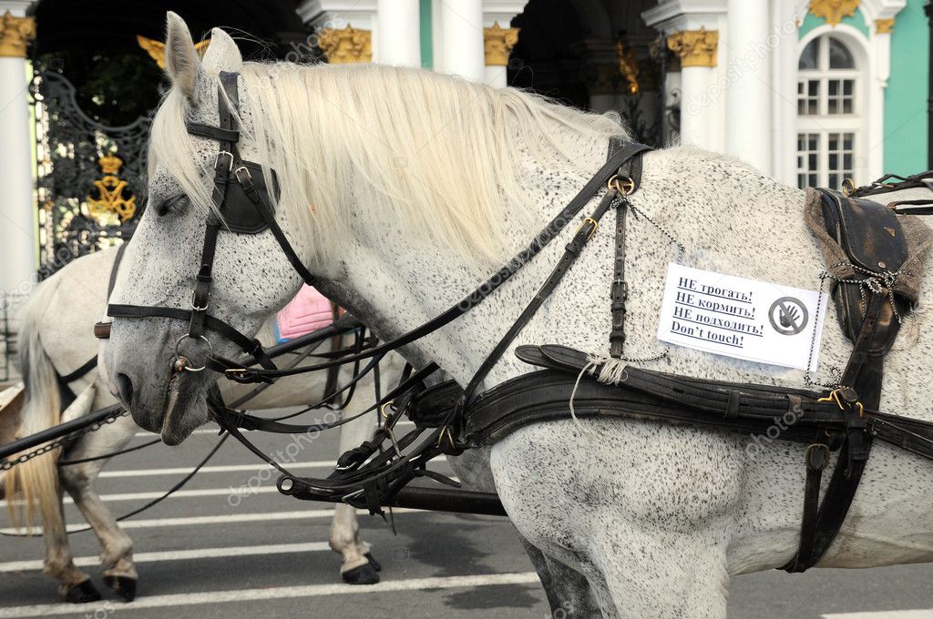 Horse cart Stock Photo by ©Katkov 16283559