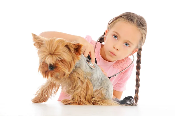 Veterinário jovem — Fotografia de Stock