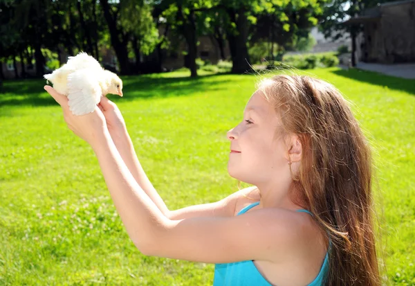 Happy little girl with a small chicken — Stock Photo, Image