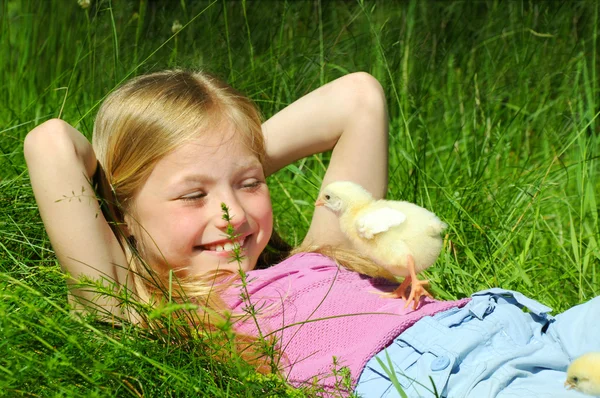 Niña con un pollo —  Fotos de Stock