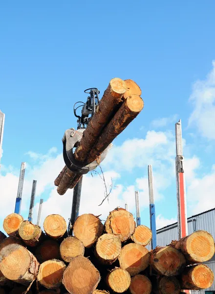 Truck crane loading timber — Stock Photo, Image