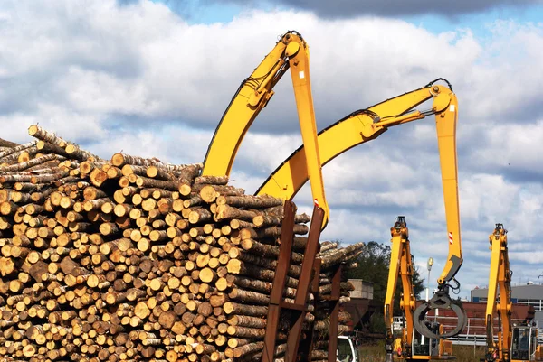 Timber yard — Stock Photo, Image