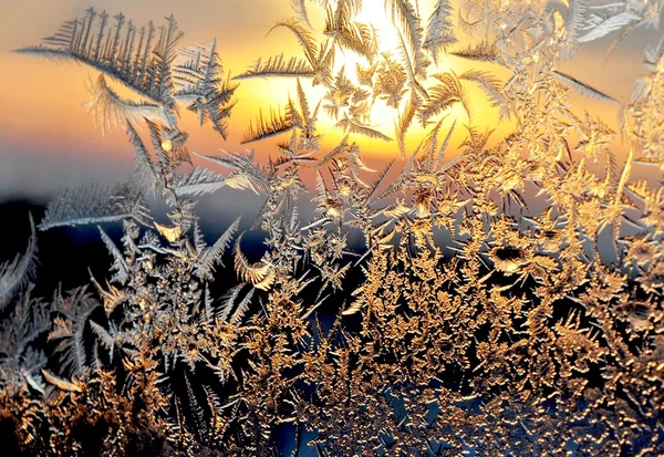 Frost och solen på vintern fönster — Stockfoto