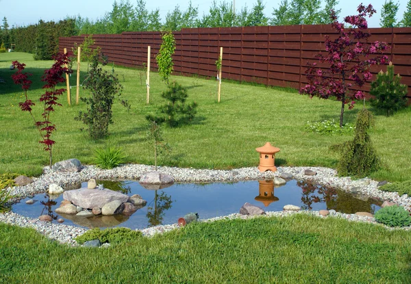 Garden pond — Stock Photo, Image