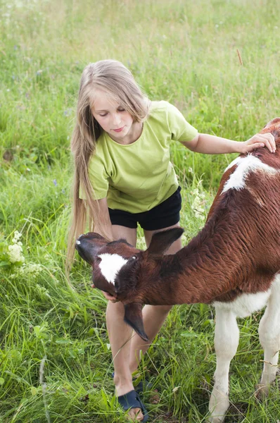 Маленькая девочка гладит теленка — стоковое фото