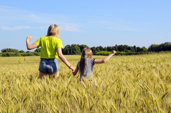 Bambino nel campo di grano estivo . — Foto Stock