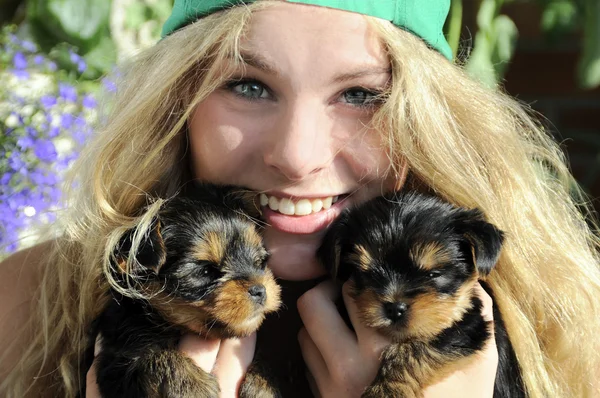 Young girl with cute puppies — Stock Photo, Image