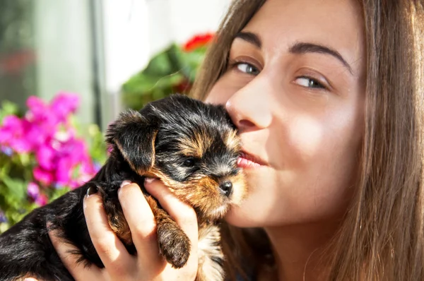 Menina jovem beijo bonito cachorrinho — Fotografia de Stock