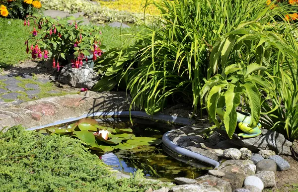 Garden Pond — Stock Photo, Image