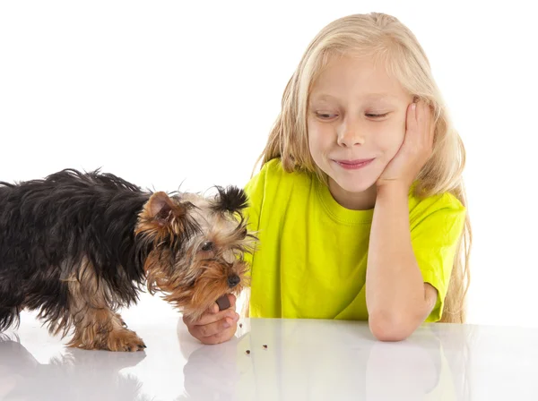 Pequeña linda chica alimentando a su perro — Foto de Stock