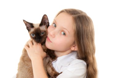 Siyam kedi yavrusu ile küçük kız
