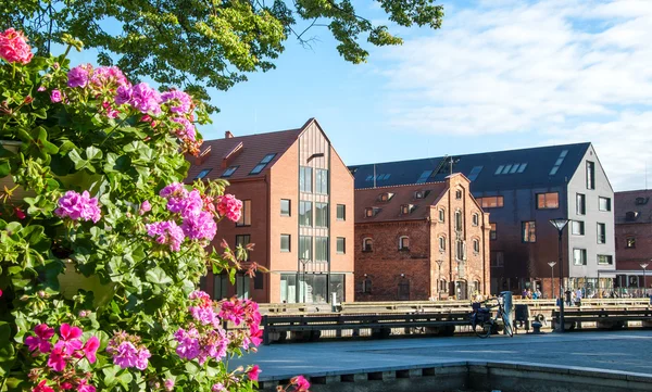 Klaipeda. Lituânia — Fotografia de Stock