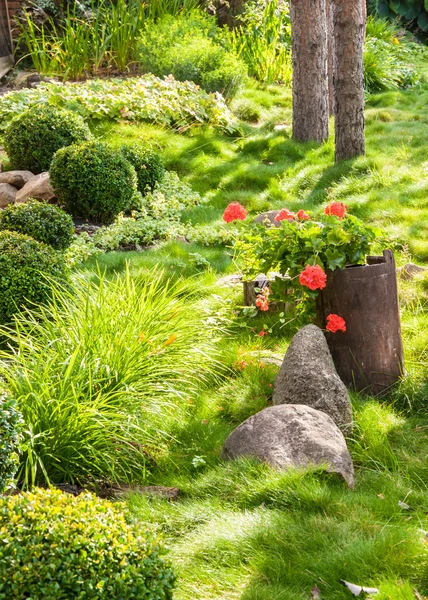 Vackra blommande trädgård i sommar — Stockfoto