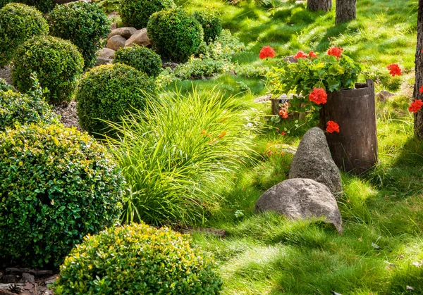아름 다운된 꽃 정원 — 스톡 사진