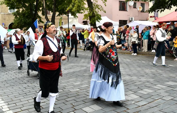 Klaipeda Lithuania July 2022 Participants Take Part Europeade 2022 Festival — Stok fotoğraf