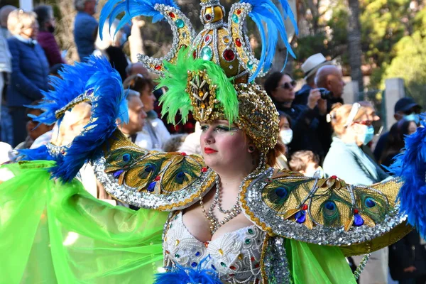 Torrevieja Spain February 2022 Participants Dressed Carnival Costumes Traditional Parade — 图库照片