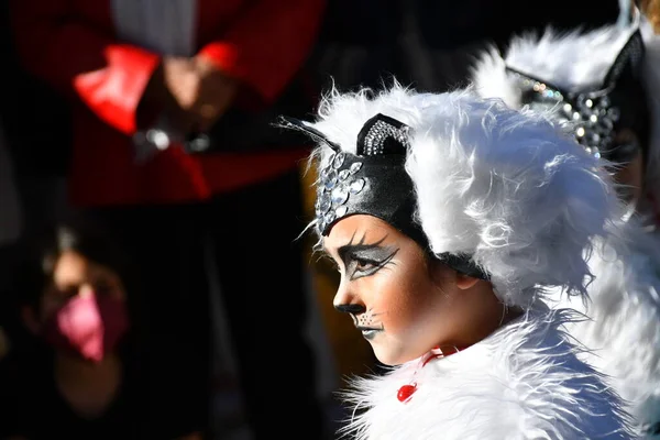 Torrevieja Spain February 2022 Participants Dressed Carnival Costumes Traditional Parade — 图库照片
