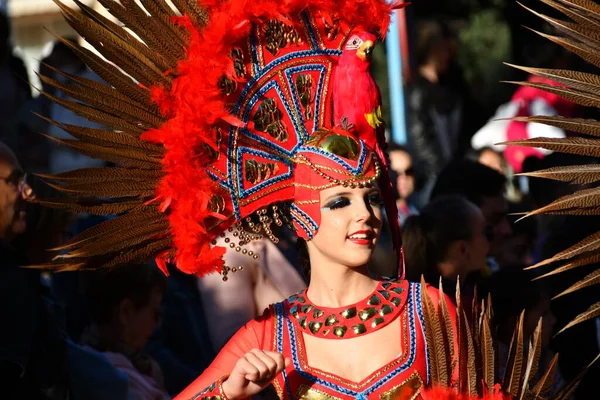 Torrevieja Spain February 2022 Participants Dressed Carnival Costumes Traditional Parade — 图库照片