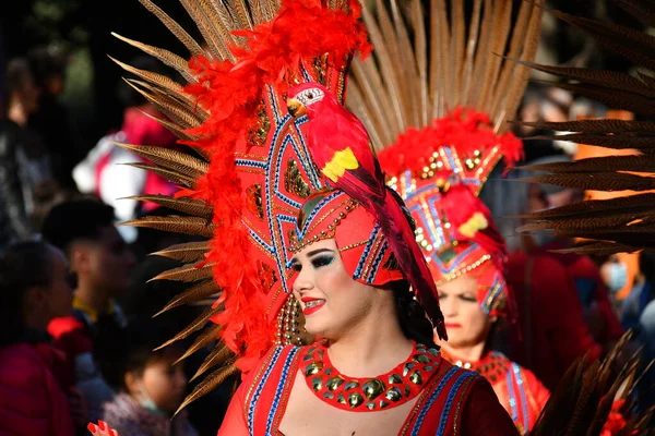 Torrevieja Spanje Februari 2022 Deelnemers Gekleed Een Carnavalskostuum Tijdens Traditionele — Stockfoto