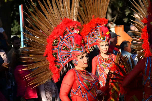 Torrevieja Spain February 2022 Participants Dressed Carnival Costumes Traditional Parade — Stok fotoğraf