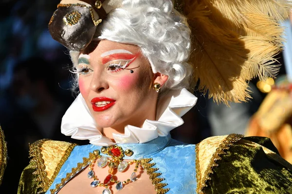 Torrevieja España Febrero 2022 Participantes Vestidos Con Disfraces Carnaval Durante — Foto de Stock