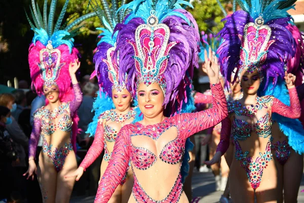 Torrevieja Espanha Fevereiro 2022 Participantes Vestidos Com Trajes Carnavalescos Durante — Fotografia de Stock