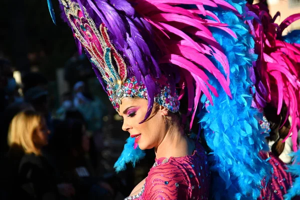 Torrevieja Spain February 2022 Participants Dressed Carnival Costumes Traditional Parade — 스톡 사진