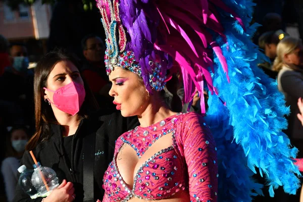 Torrevieja Spain February 2022 Participants Dressed Carnival Costumes Traditional Parade — Stok fotoğraf