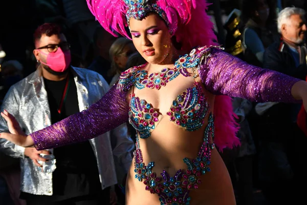 Torrevieja Spain February 2022 Participants Dressed Carnival Costumes Traditional Parade — Stok fotoğraf