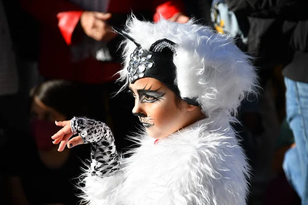 Torrevieja Espanha Fevereiro 2022 Participantes Vestidos Com Trajes Carnavalescos Durante Fotos De Bancos De Imagens