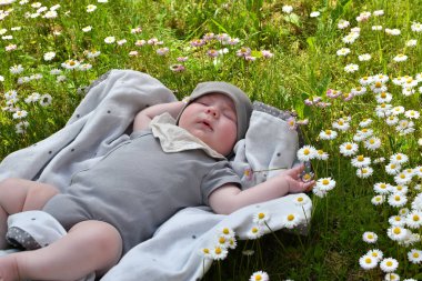 Little cute baby resting on the grass lawn with daisies. Horizonta
