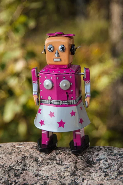 The robot on the stone. — Stock Photo, Image