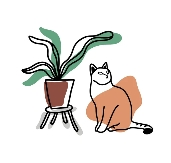 Sitting cat looking up with home flower. — Stock Vector