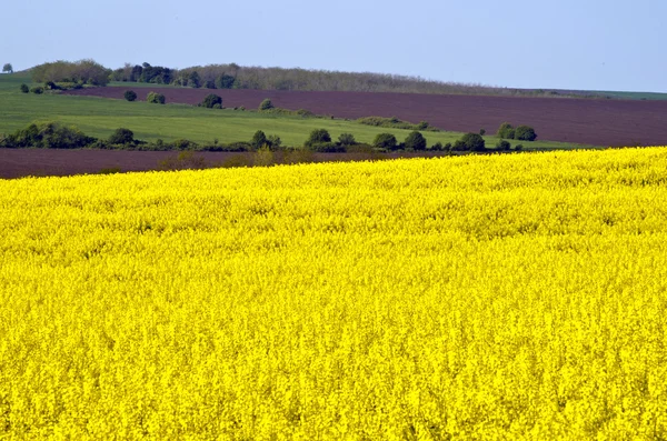 Paesaggio di primavera — Foto Stock