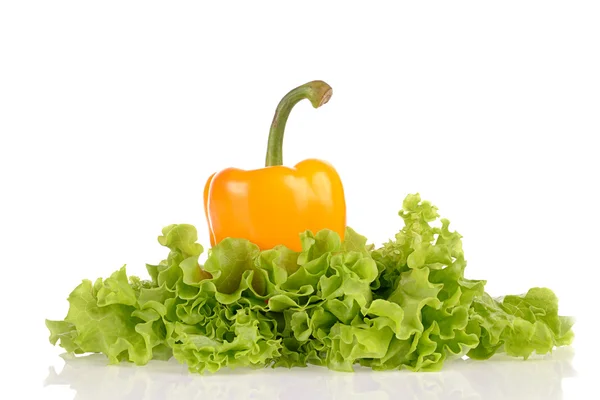 Gele peper en salade blad geïsoleerd op witte achtergrond — Stockfoto