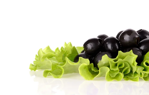 Olives noires sur salade verte — Photo