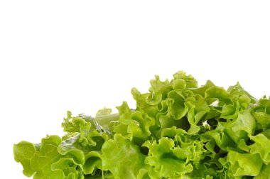 Beyaz bir arka plan üzerinde izole yeşil salata