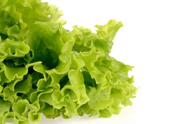 Beyaz bir arka plan üzerinde izole yeşil salata