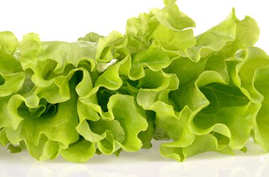 Beyaz bir arka plan üzerinde izole yeşil salata