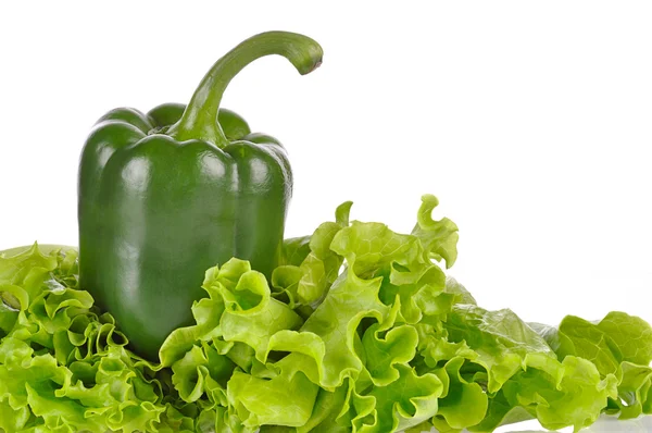 Hoja de pimiento verde y ensalada aislada sobre fondo blanco — Foto de Stock