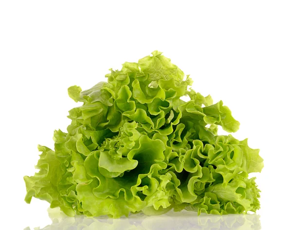 Grøn salat isoleret på en hvid baggrund - Stock-foto
