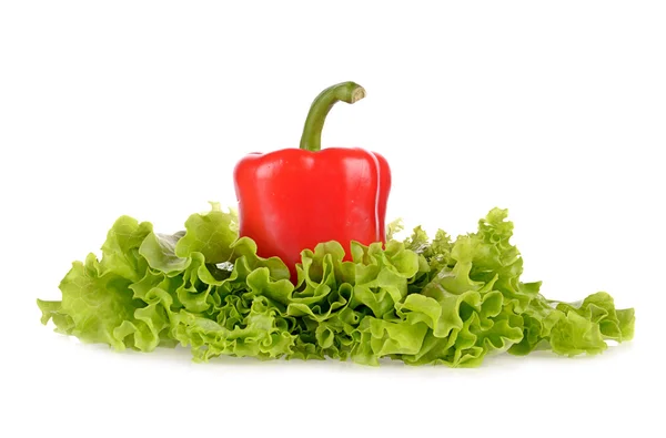Pimenta vermelha e folha de salada isolada no fundo branco — Fotografia de Stock