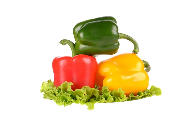 Pimientos verdes y amarillos rojos en hojas de ensalada aisladas en bac blanco — Foto de Stock