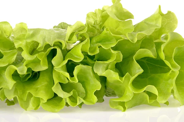 Grüner Salat isoliert auf weißem Hintergrund — Stockfoto