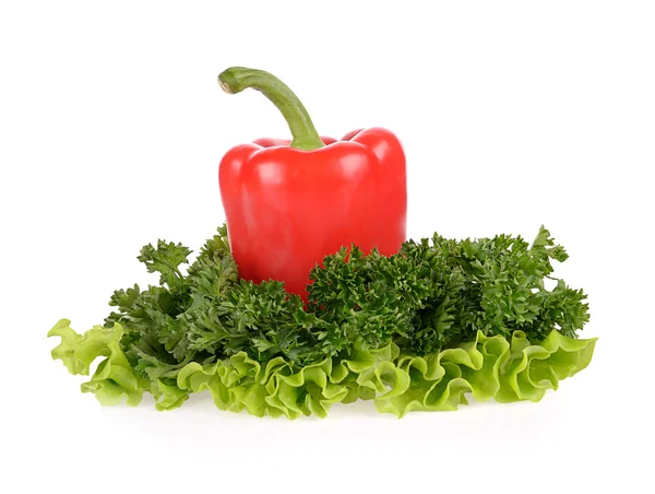 Pepe rosso, prezzemolo e foglia di insalata isolati su sfondo bianco — Foto Stock