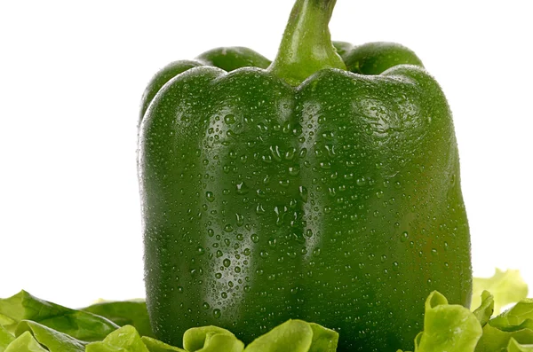 Green pepper and salad leaf — Stock Photo, Image