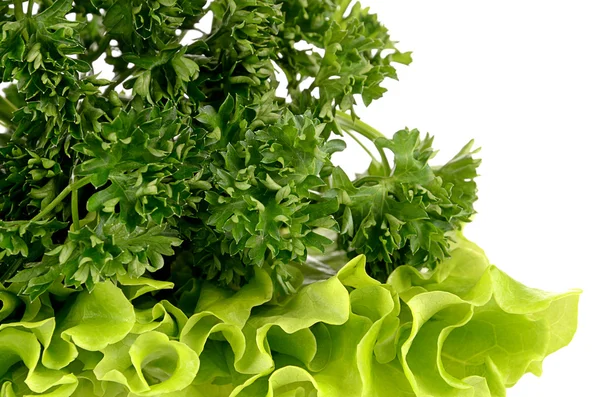 Parsley and salad leaf — Stock Photo, Image