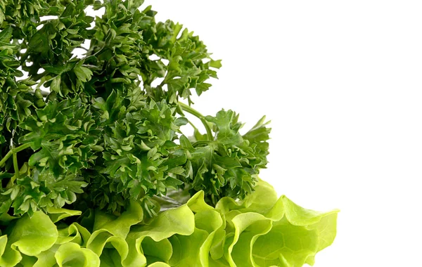 Daun peterseli dan salad diisolasi pada latar belakang putih — Stok Foto