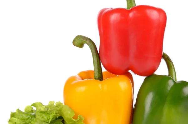 Pimentas vermelhas verdes e amarelas na folha de salada — Fotografia de Stock