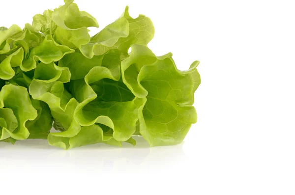 Grüner Salat — Stockfoto